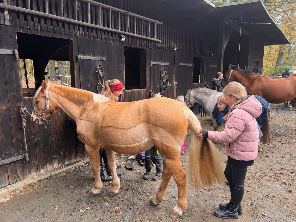 Kinder mit Ponys bei den Reiterferien auf dem Waldgut Waldsteinberg