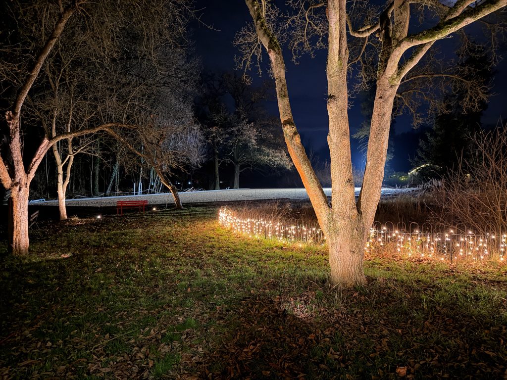 Reit und Bewegungsfläche auf dem Waldgut bei tief stehender Sonne